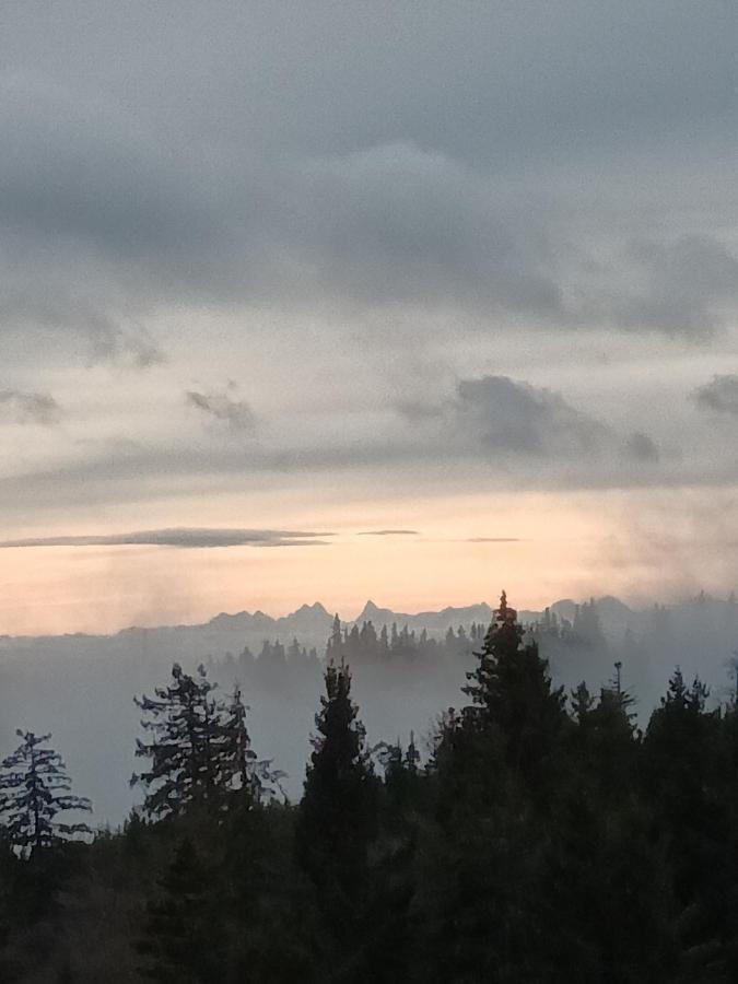 Terre De Sapins - Nature De Gamme Avec Sauna Au Coeur Du Blanc Orbey
