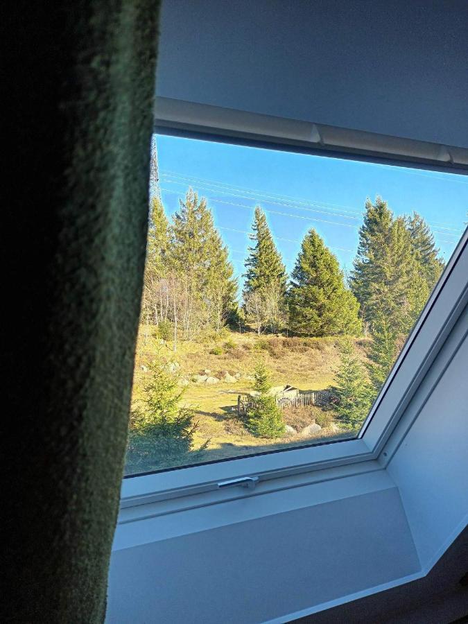 Terre De Sapins - Nature De Gamme Avec Sauna Au Coeur Du Blanc Apartment Orbey